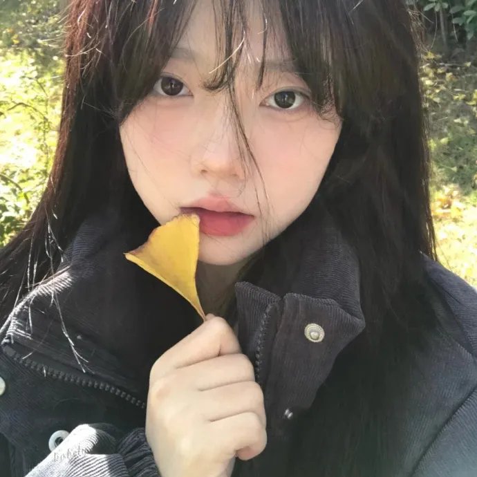 莫丽的朝圣